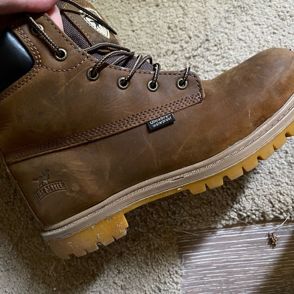 Irish setter 7.5 - Picture 8 of 9